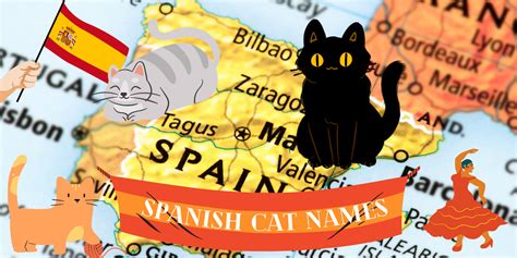 Spanish Cat Names and Meanings for Males & Females - PetsTime