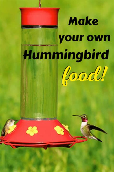 Easy 2 Ingredient Homemade Hummingbird Food Recipe