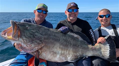 Monster Black Grouper Catch Clean And Cook Bluegabe