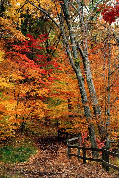 Mccormick Creek State Park Indiana Autumn Scenery Autumn Scenes