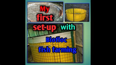 My First Biofloc Set Up Biofloc Fish Farming Biofloc In Assam