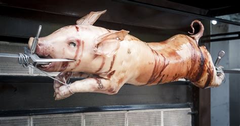 In addition to this page, there are plenty. How to Cook a Whole Pig in the Oven | LIVESTRONG.COM