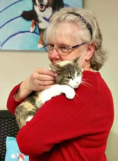 View the dog cleaning services in the 45365 zip code, including happy tails pet grooming. Pets for Adoption at Hancock County Animal Shelter, in New ...