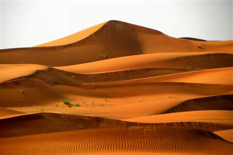 Free Images Desert Erg Natural Environment Aeolian Landform Dune