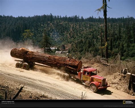 Logging In The Redwoods Trucks Logging Equipment Big Rig Trucks