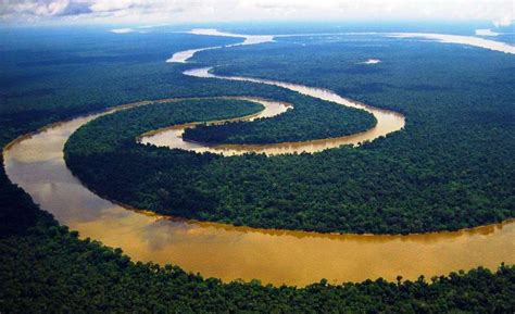 Greatest Amazon River Is Home To Several Extremes