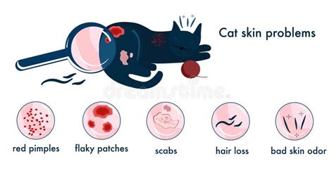 Cat Skin Problemsinfographics Icons With Different Reasons Of Allergy