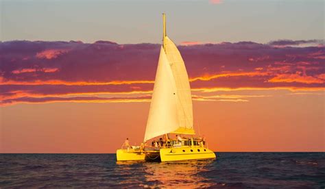 Catered Sunset Sail On Board The Iconic Yellow Catamaran