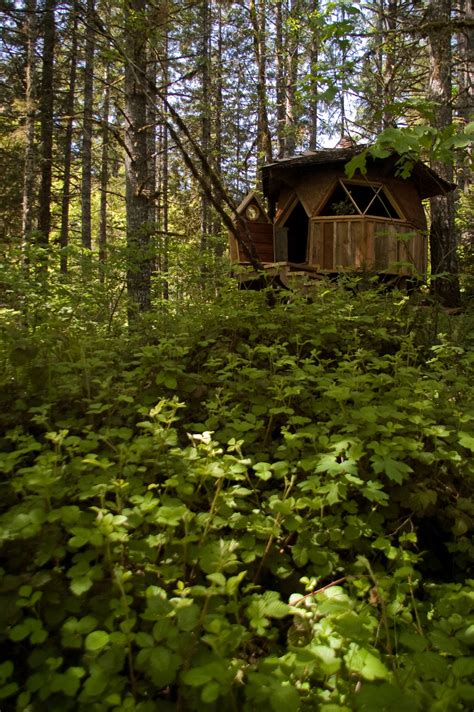 Maybe you would like to learn more about one of these? Relaxshacks.com: Zome/Dome Eye Candy- A Tiny Cabin In The ...