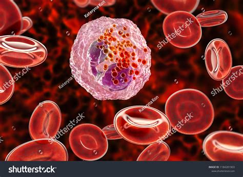 Eosinophil White Blood Cell 3d Illustration стоковая иллюстрация