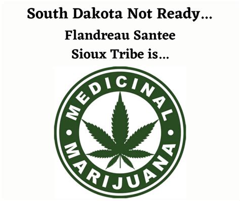State Isn’t Ready For Medical Cannabis But The Flandreau Santee Sioux Tribe Is The Hedgehog