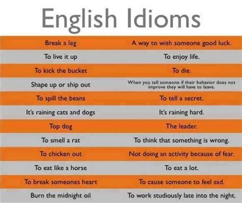 Most Useful Idioms And Their Meaning Eslbuzz