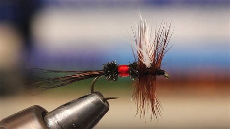 Royal Wulff Youtube Fly Fishing For Beginners Fly Tying Fly