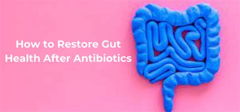 how to restore gut health after antibiotics