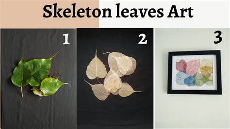 Diy Skeleton Leaves Wall Art How To Make Skeleton Leaf Skeleton