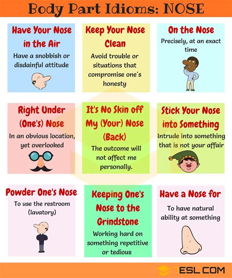 Nose Idioms 10 Useful Phrases And Idioms With Nose 7esl
