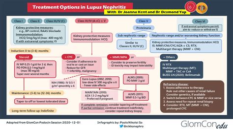 Lupus Nephritis Treatment Infographic Glomcon Pubs