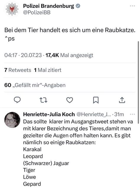 Chanko on Twitter henriette du wirst löwin schon nicht übersehen