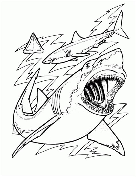 Baby shark coloring pages for kids. Free Printable Shark Coloring Pages For Kids