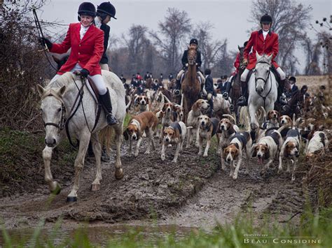 Fox Hunting A Review Of The Evidence Science Features