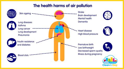 Clean Air Day 2022 Air Pollution Impacts Every Organ In The Body Rehis