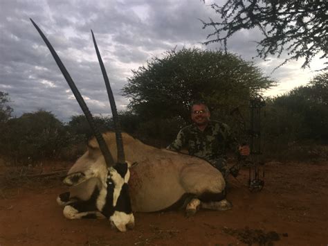 South Africa Rifle Bowhunt Safari With Limcroma Safaris