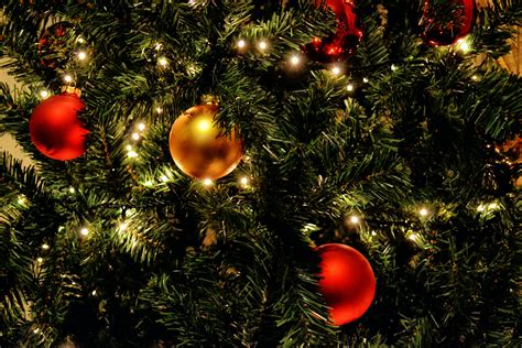 Photo Gratuite De Arbre Arbre De Noël Boules De Noël