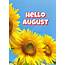 Pin By Patti On August  Dog Days Of Summer Months In A Year Birth