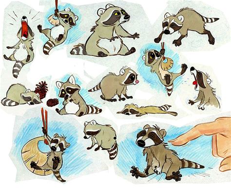 The Magic Behind The Magic Raccoon Illustration Character Design
