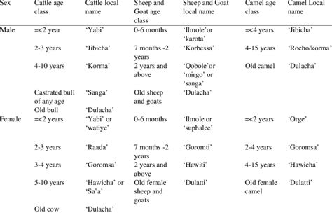 Local Livestock Age Classification And Naming Download Table