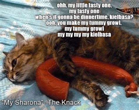 My Sharona Lolcats Lol Cat Memes Funny Cats Funny Cat