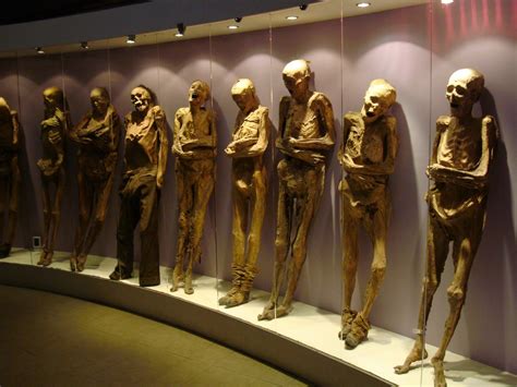 these momies were preserved naturally by the dry air at guanajuato mexico mummy museum