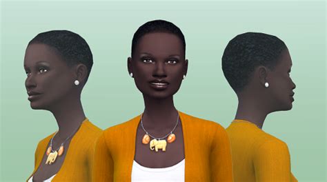 Afro Hair Gallery Aka Ethnic Hair Vault The African Sim