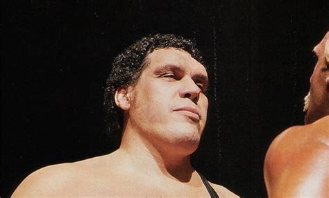 Andre the giant was born andre rene roussimoff in the countryside of grenoble, france. Andre the Giant Film in Development | FilmFad.com
