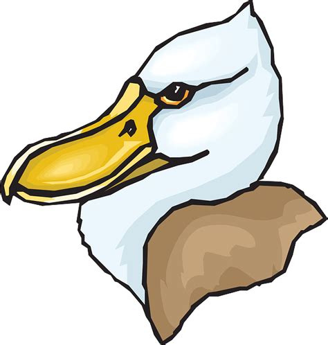 Head Big Bird Duck Feathers Beaked Beak Clip Art Png Download