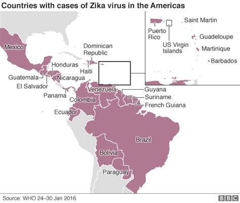 Zika Linked Condition Who Declares Global Emergency Bbc News