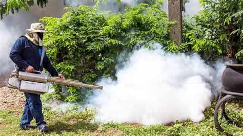 Our houston pest control technicians continue training in pest identification, integrated pest management (ipm) techniques, and the safe sovereign's houston pest control exterminators also offer pest management and exterminating services to homeowners residing in harris county. Pest Control Services in Houston TX, details at ...