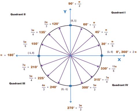 Treatment of cell samples with rnase a is necessary since pi binds to both rna and dna. coordinate systems - Radians : negative and positive ...