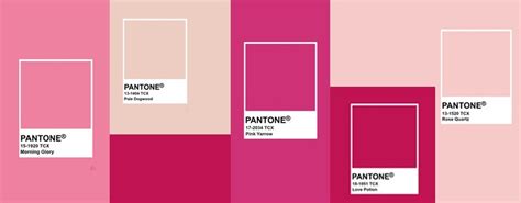 Pantone Pink Shades Handpicked Pink Pantone Colors Pantone Pink