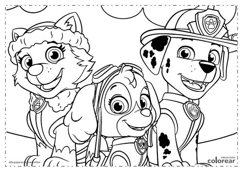 Marshall Sky Y Everest Paw Patrol Dibujo Para Colorear