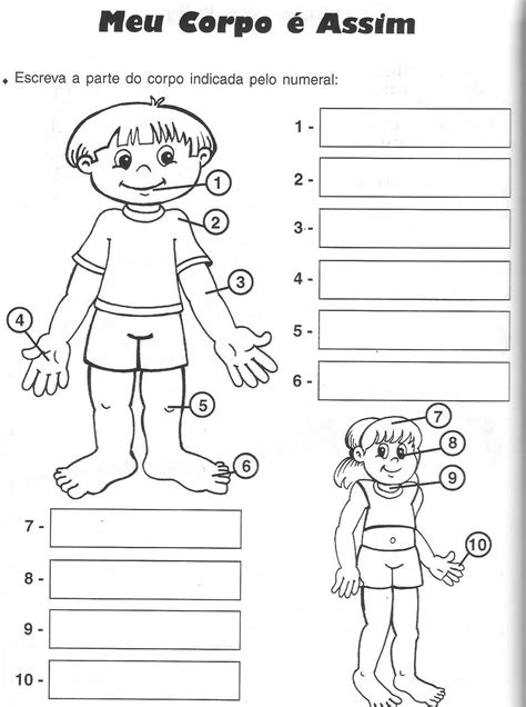 Cantinho Educar da NEL MUNDOCA Corpo humano º Ano