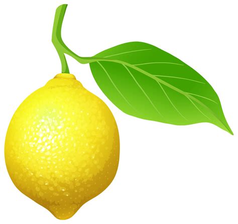 Lime Clipart Free Download On Clipartmag