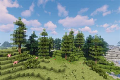 Biomes o ' plenty is an expansive biome mod for minecraft that adds a slew of new, unique biomes to the overworld and nether! Minecraft Dynamic Trees - Biomes O' Plenty Compat mod 2021 ...