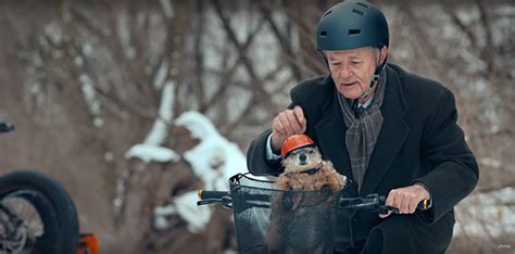 Bill Murray Finally Learns To Love Groundhog Day In This ...