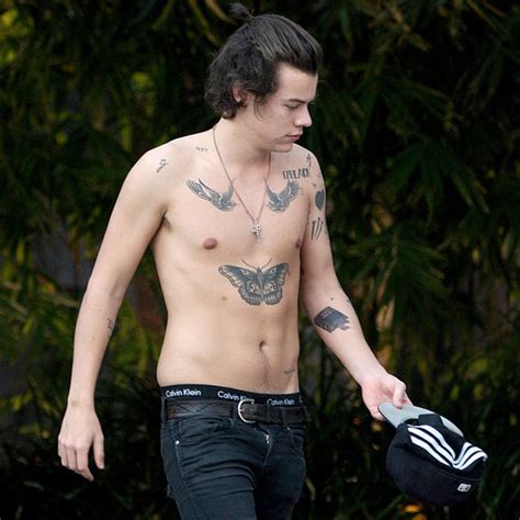 Harry Styles Shirtless Gallery Naked Male Celebrities