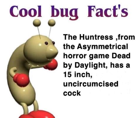 A Cool Bug Fact Coolbugfacts