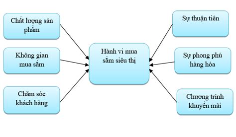 Các Nhân Tố ảnh Hưởng đến Hành Vi Lựa Chọn Nơi Mua Sắm Tại Siêu Thị Của