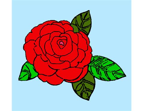 Top imagen dibujos fáciles de hacer de rosas Thptletrongtan edu vn