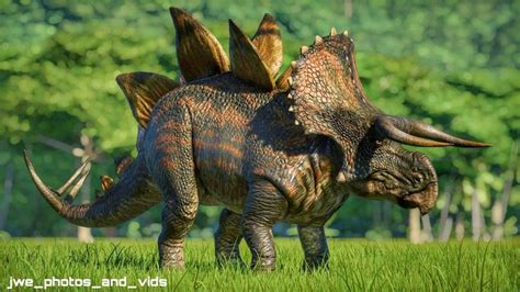 Jwe Photos And Videos 🦖 On Instagram “jurassic World Stegoceratops
