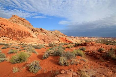 Explore the deserts of northern mexico with these travelogue notes featuring vivid photography, text and discover desert mexico. New Mexico Landscape Stock Photos, Pictures & Royalty-Free ...